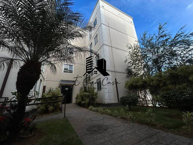 #1744 - Apartamento para Venda em Betim - MG - 1