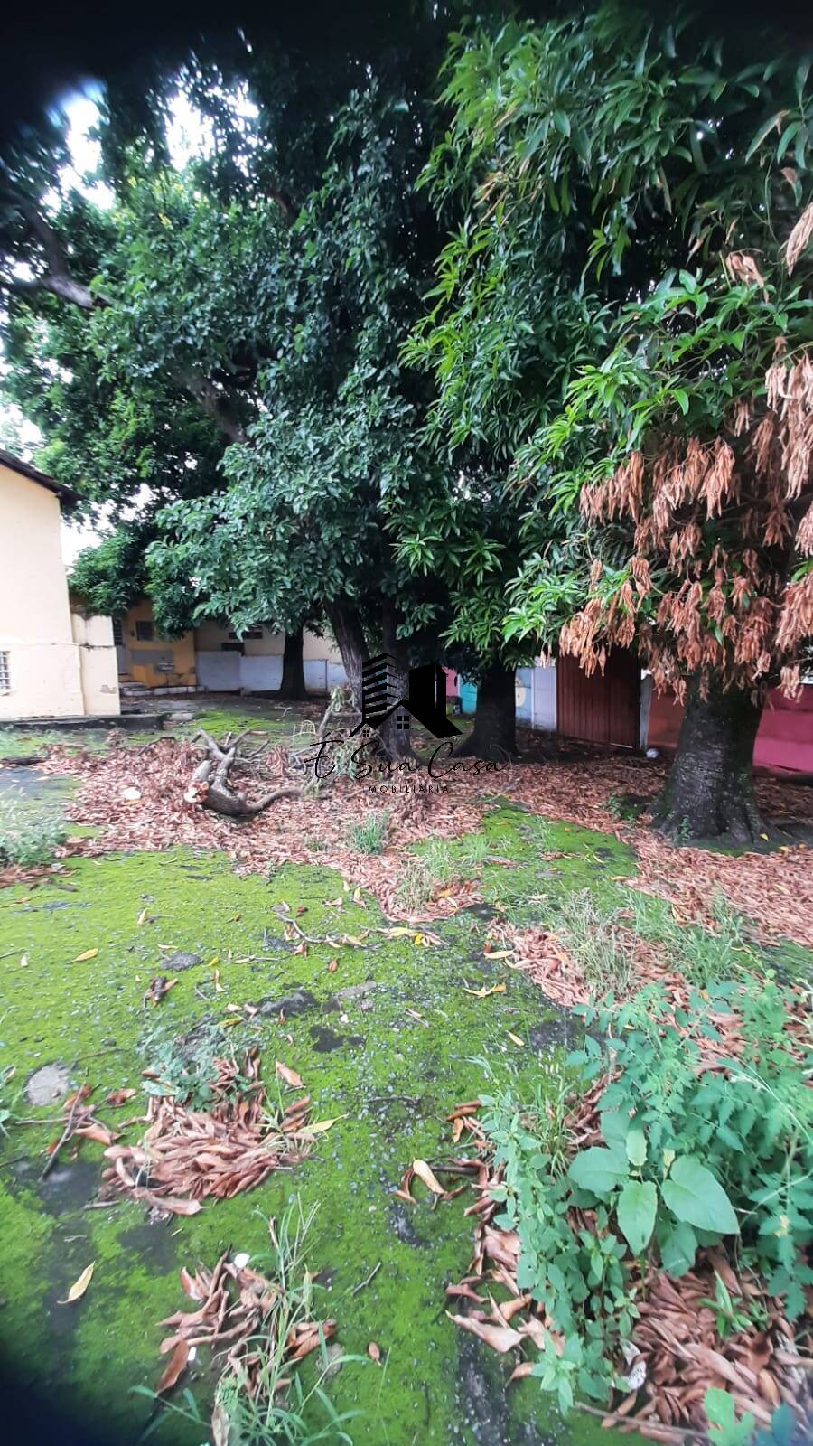 Terreno, 549 m² - Foto 4