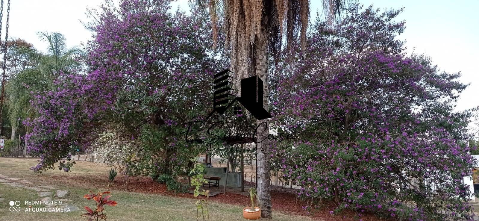 Casa, 2 quartos, 2400 m² - Foto 24