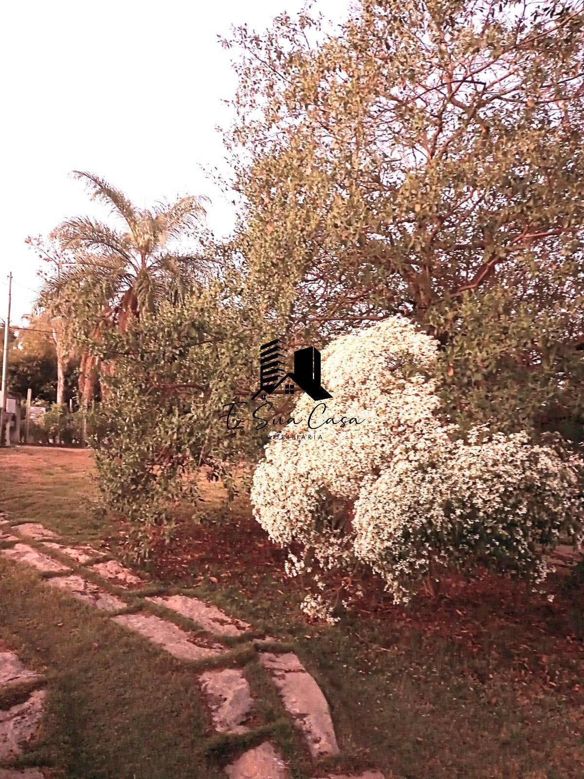 Casa, 2 quartos, 2400 m² - Foto 52