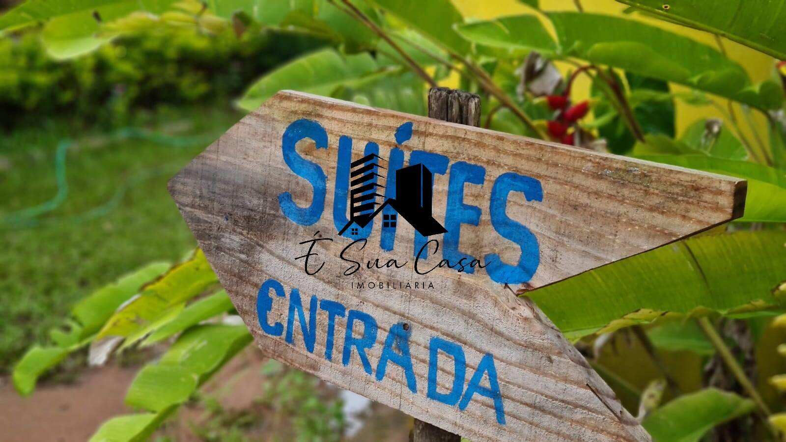 Sítio, 7 quartos, 7000 m² - Foto 4