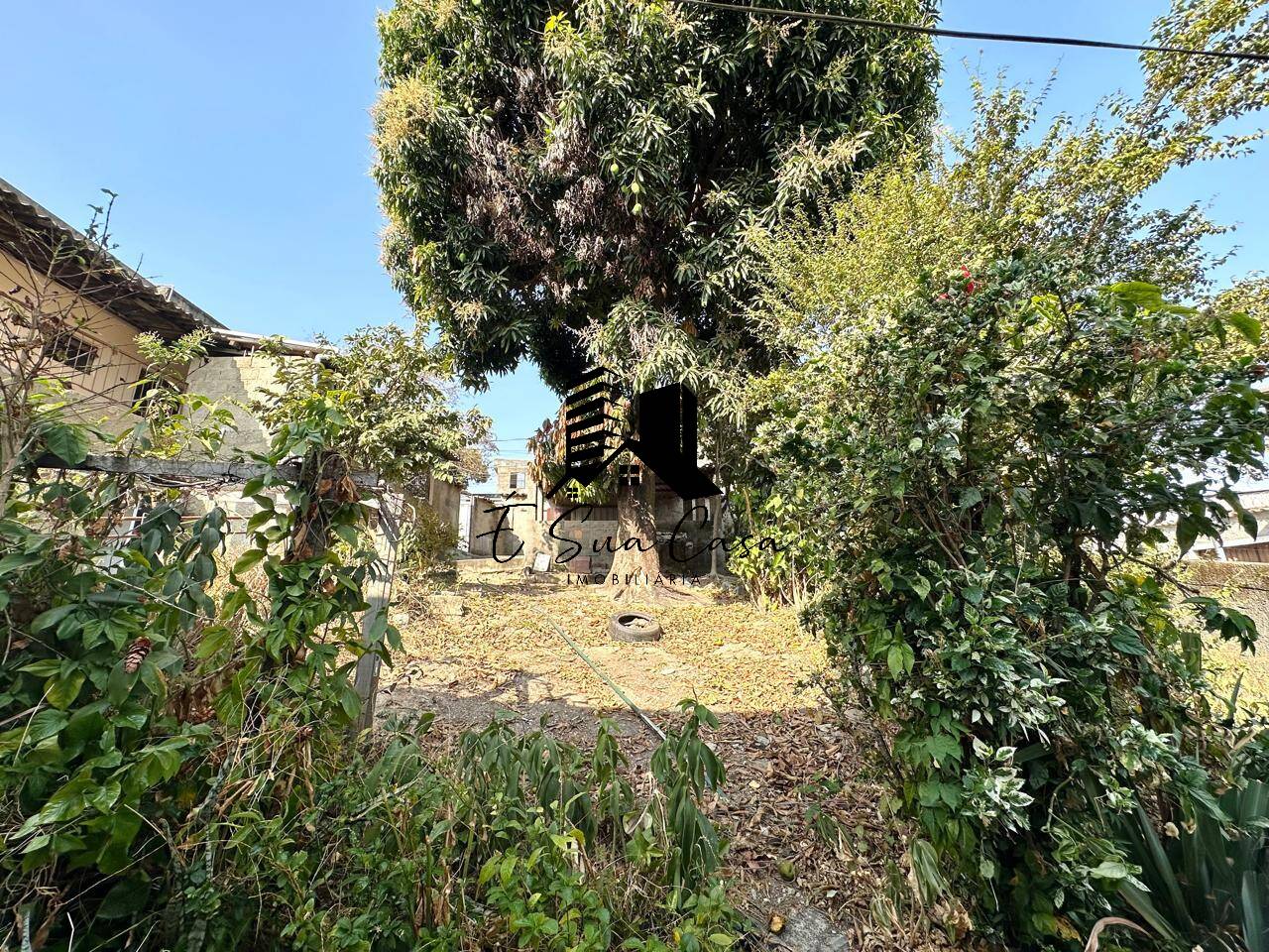 Casa, 3 quartos, 360 m² - Foto 48