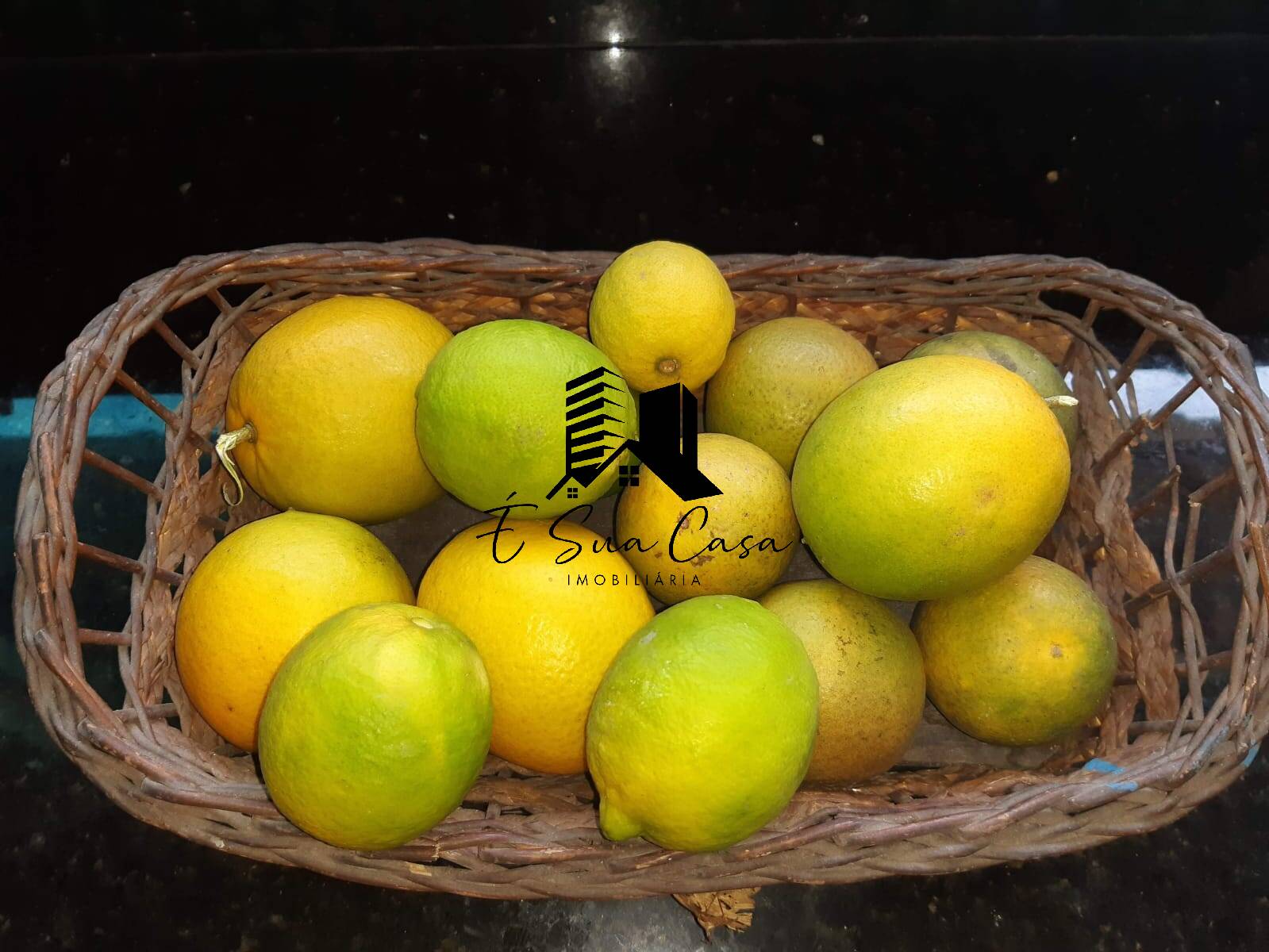 Sítio, 4 quartos, 2500 m² - Foto 13