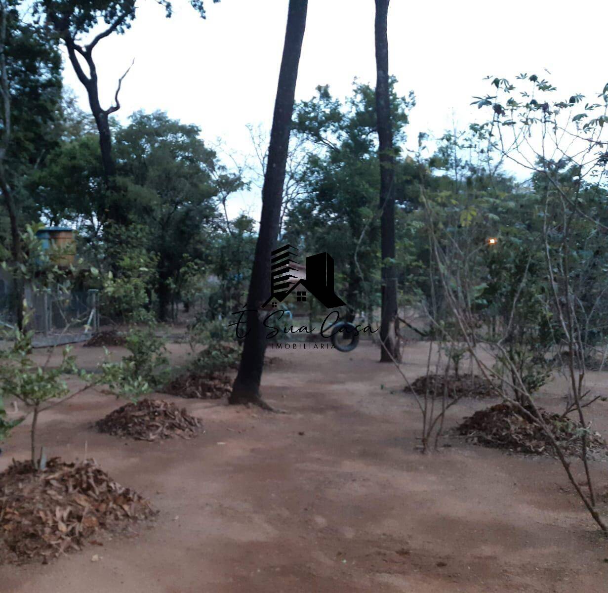 Sítio, 4 quartos, 2500 m² - Foto 30