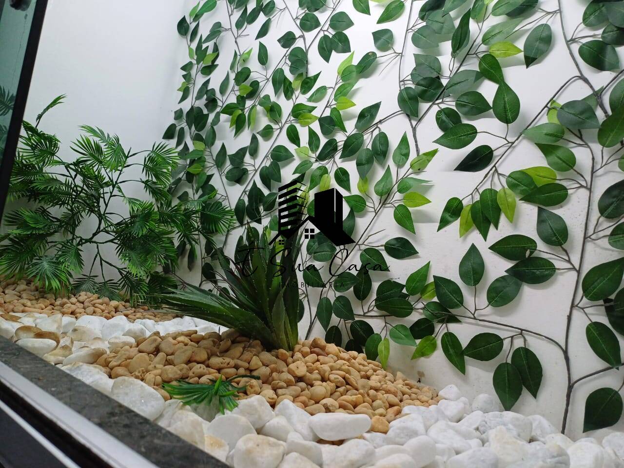 Sítio, 4 quartos, 2500 m² - Foto 4