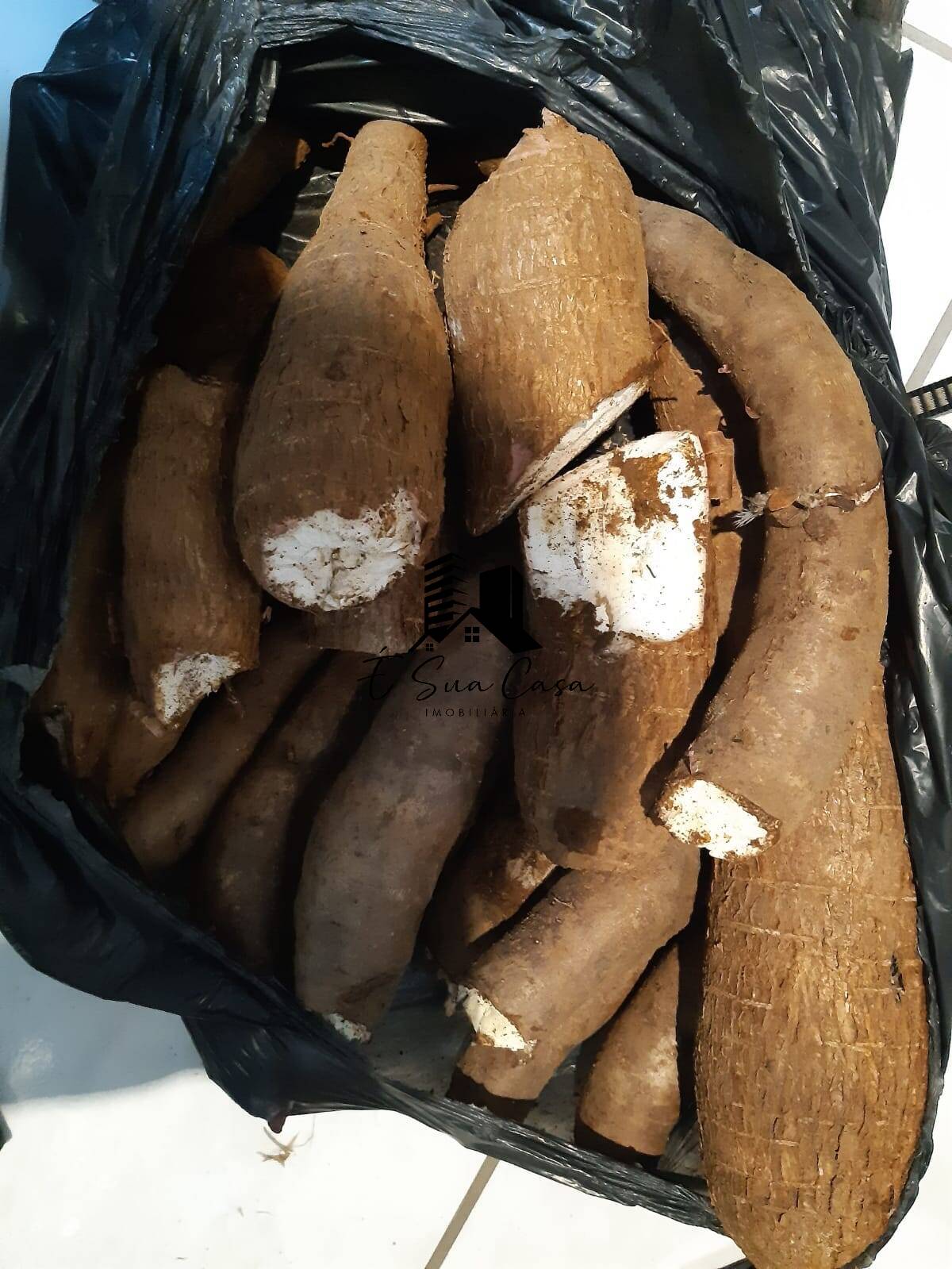 Sítio, 4 quartos, 2500 m² - Foto 28