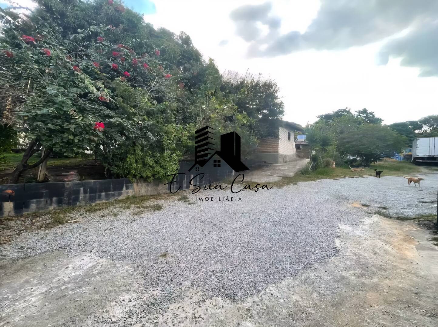 Casa à venda com 2 quartos, 2000m² - Foto 8