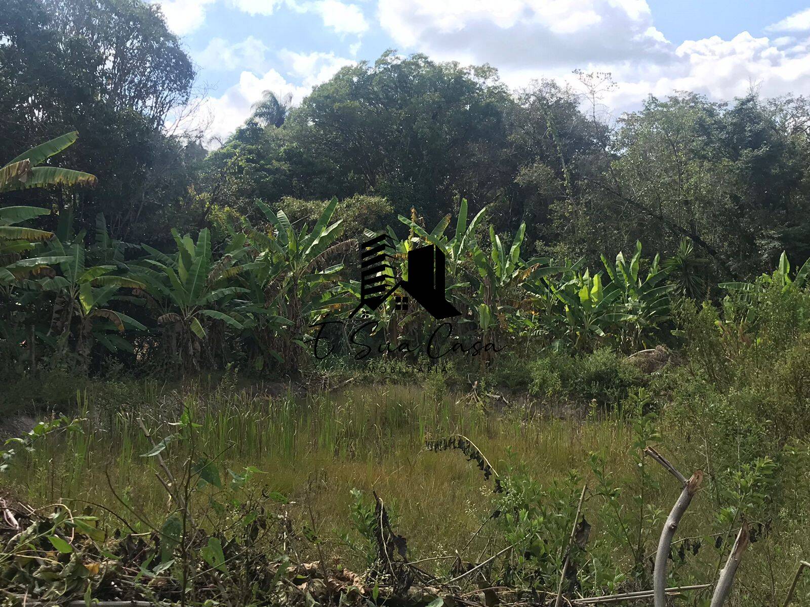 Sítio, 4 quartos, 1 hectares - Foto 40