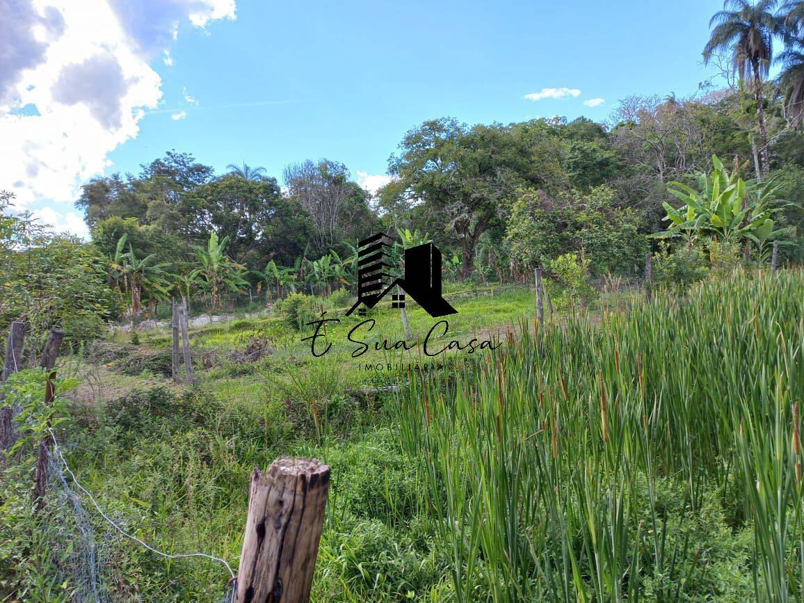 Sítio, 4 quartos, 1 hectares - Foto 48