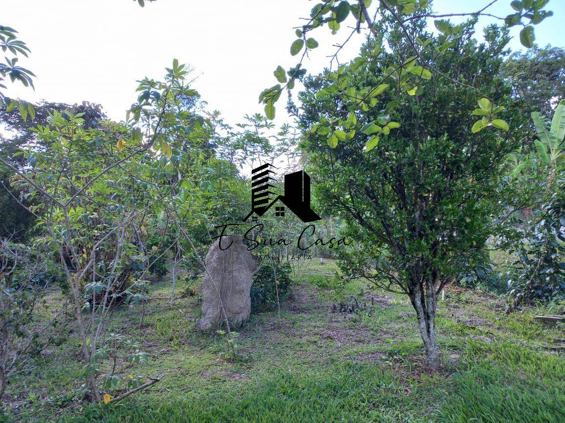 Sítio, 4 quartos, 1 hectares - Foto 51