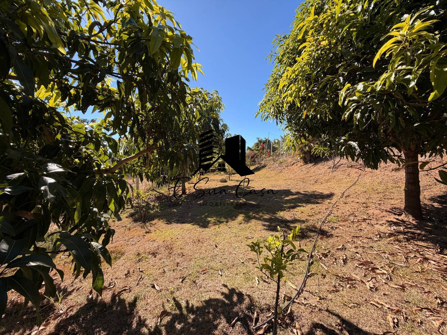 Casa, 5 quartos, 2100 m² - Foto 41